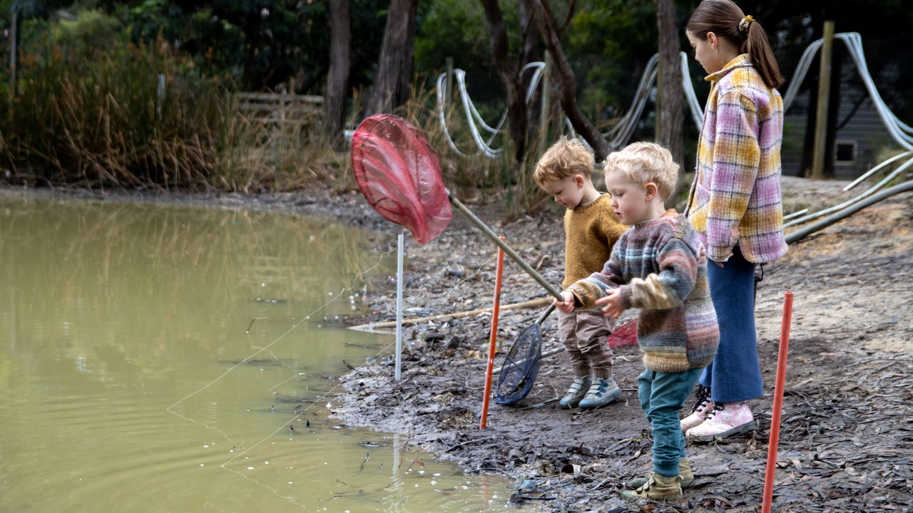 Photo of Outdoor in Lorne