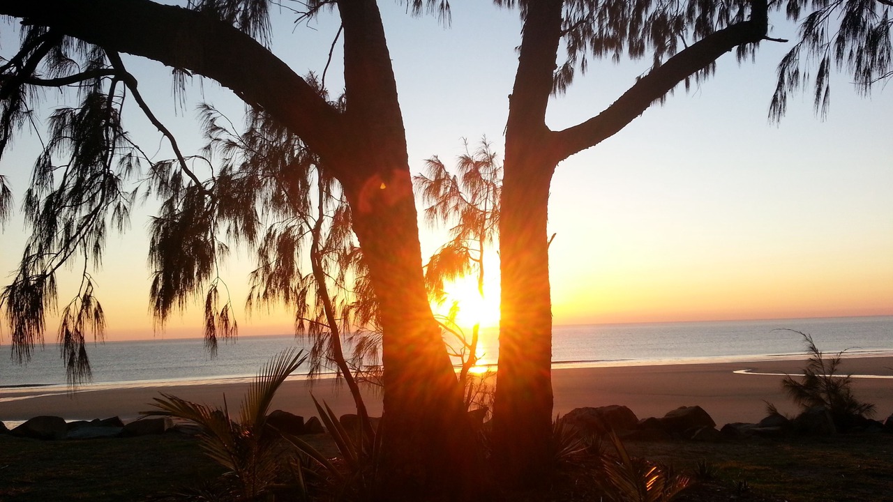Photo of Others in Blacks Beach