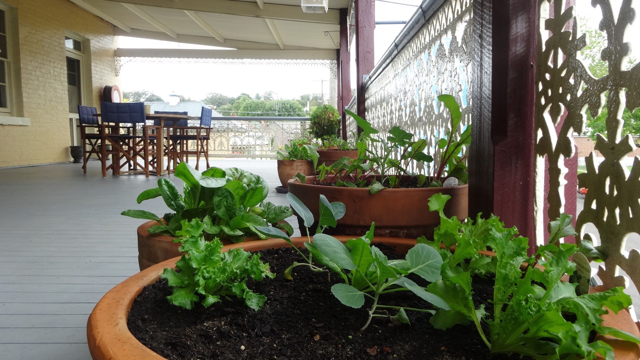 Photo of Patio Balcony in Yass