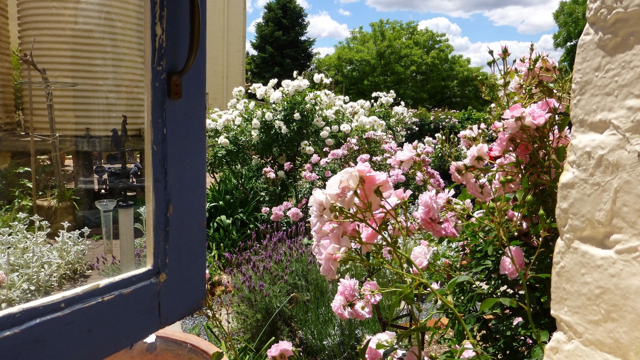 Photo of Bedroom in Yass