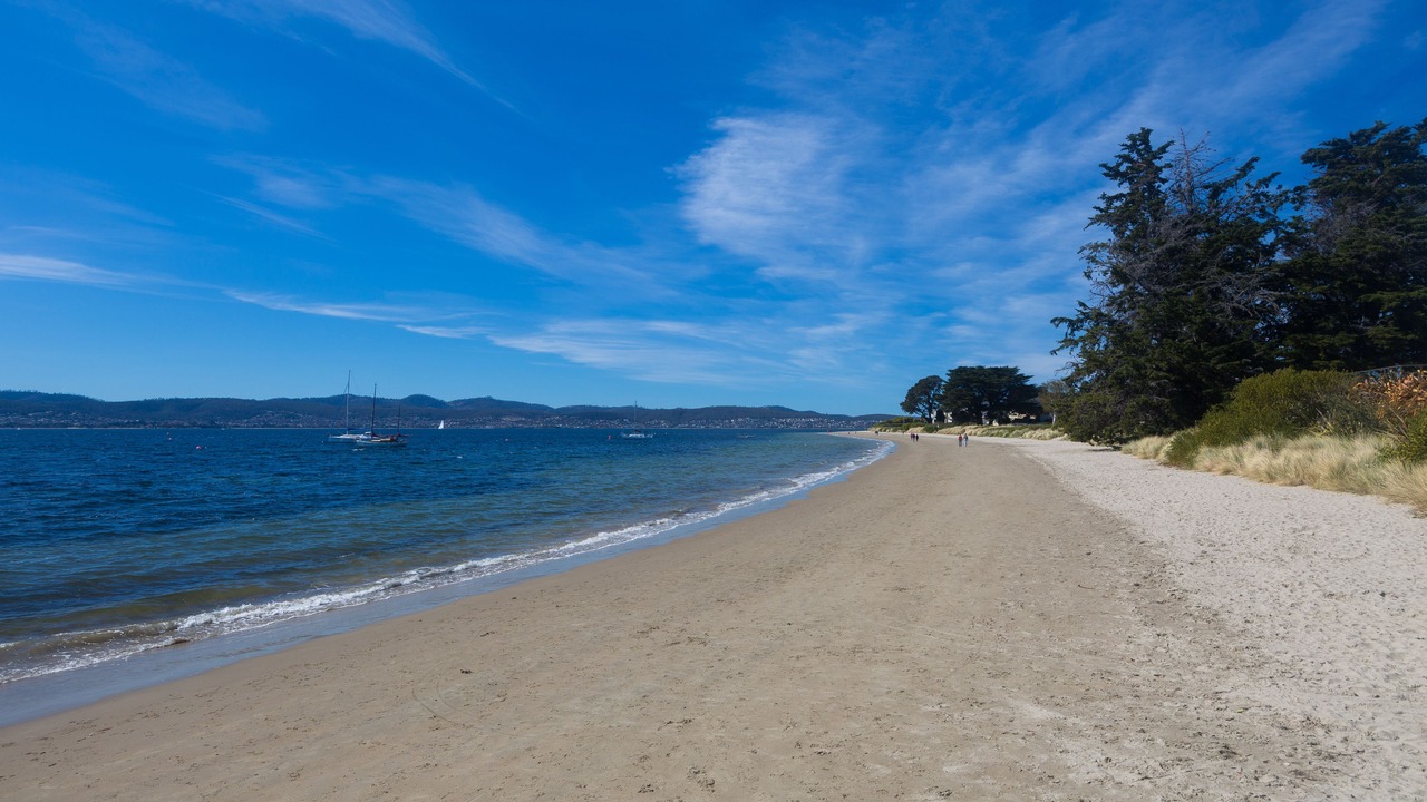 Photo of Others in Sandy Bay