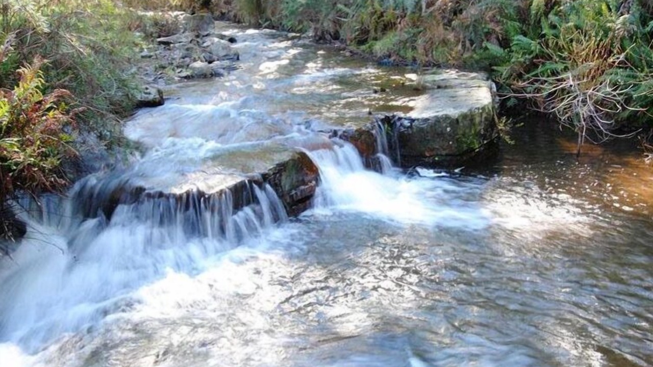 Photo of Outdoor in Grove