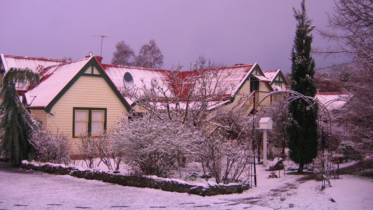Photo of Others in Grove