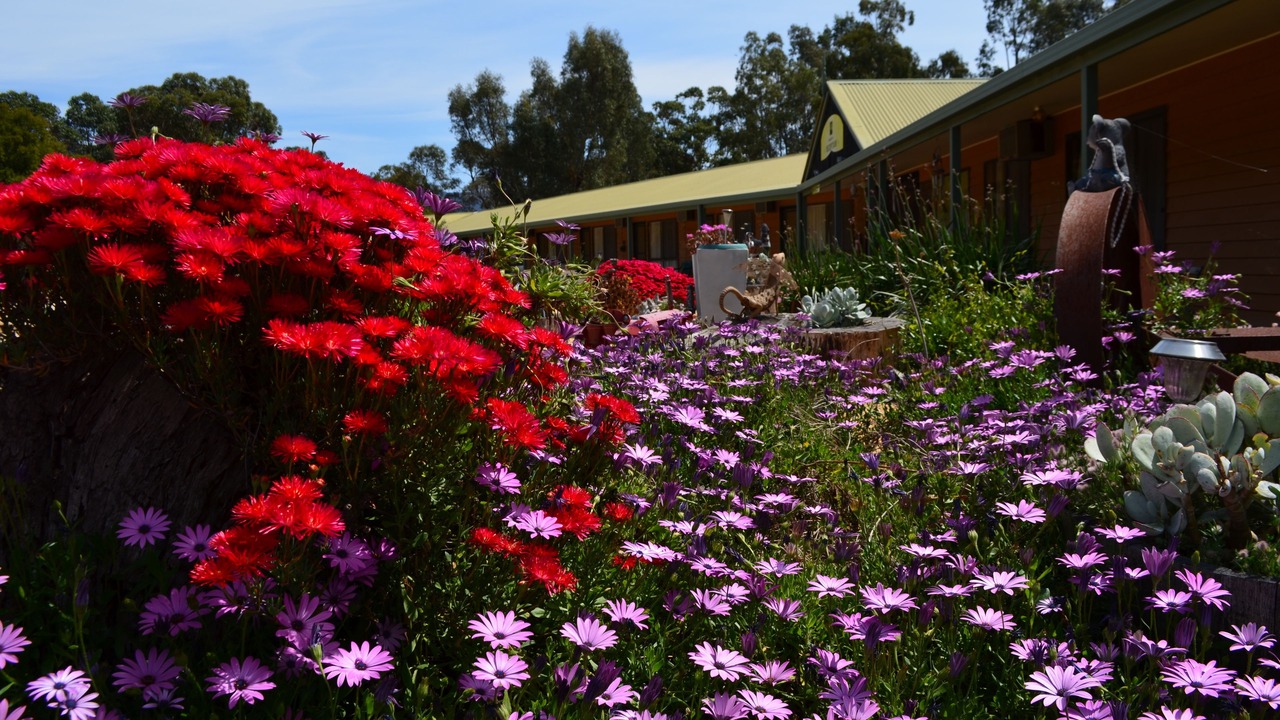 Photo of Outdoor in Halls Gap
