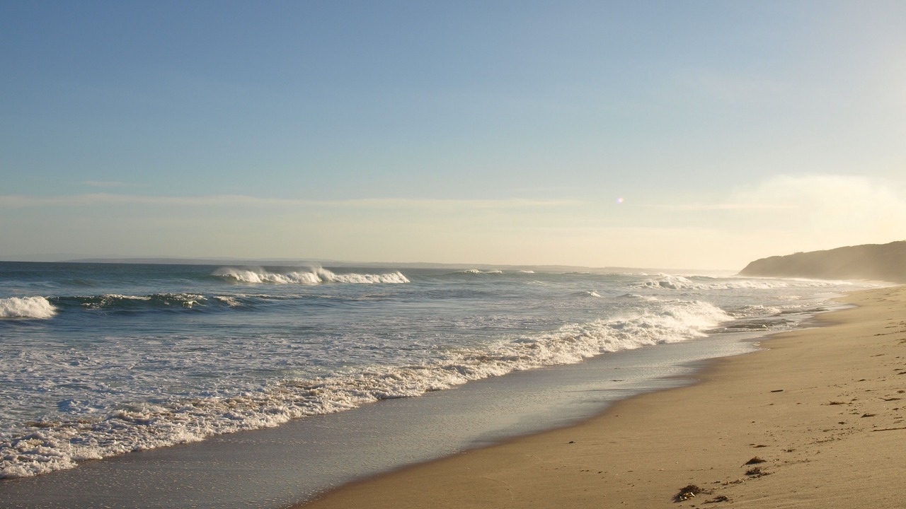 Photo of Others in Ocean Grove