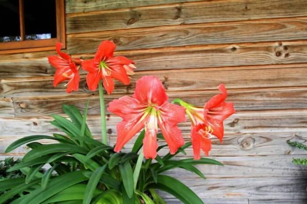 Photo of Outdoor in Otago