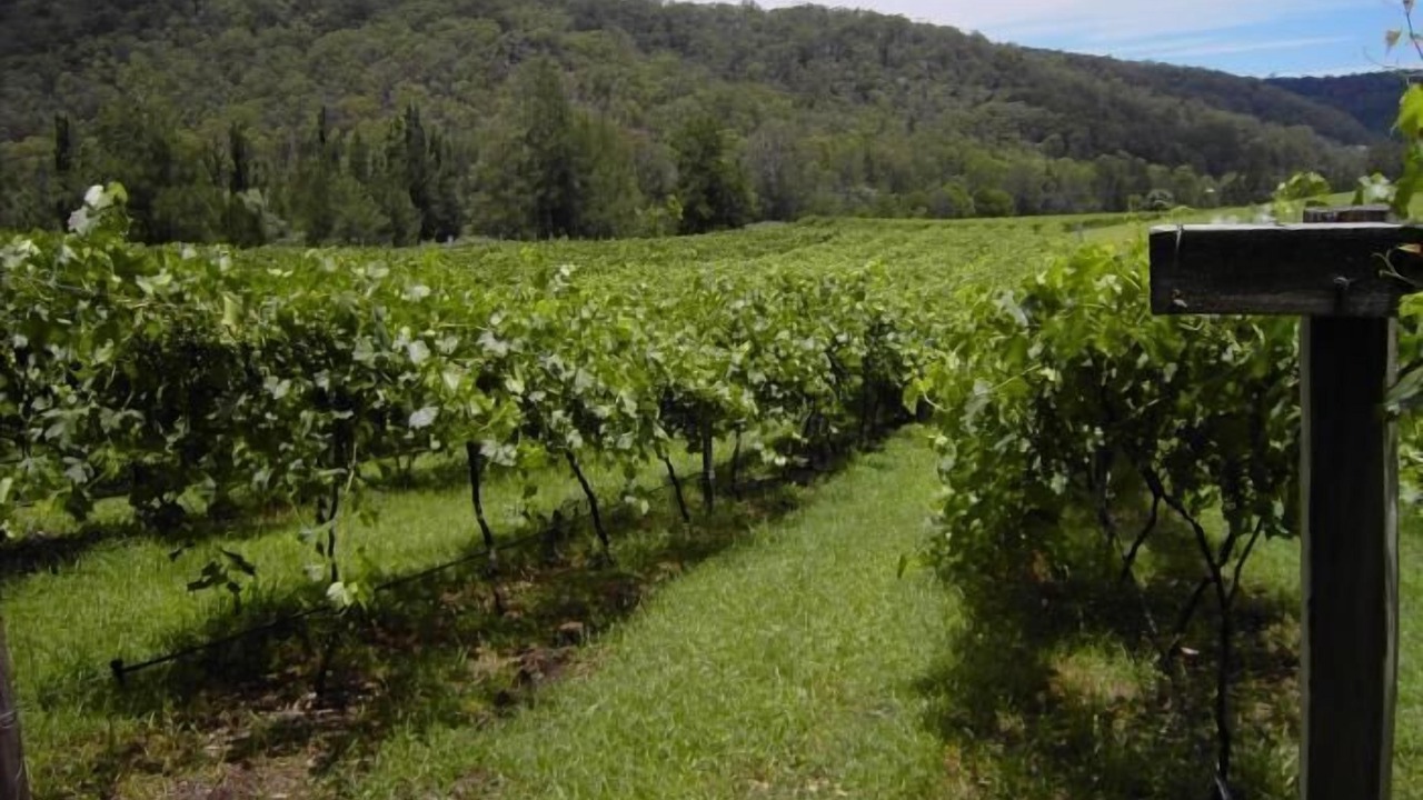 Photo of Outdoor in Sweetmans Creek