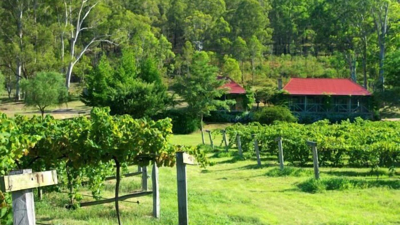 Photo of Outdoor in Sweetmans Creek