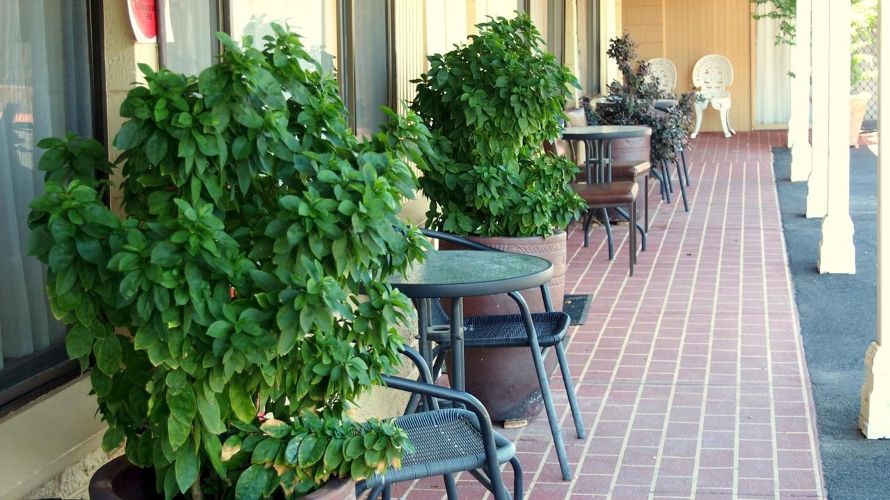 Photo of Outdoor in Swan Hill