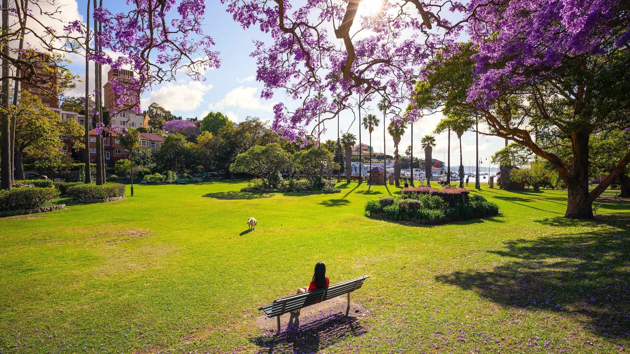 Photo of Outdoor in Kirribilli