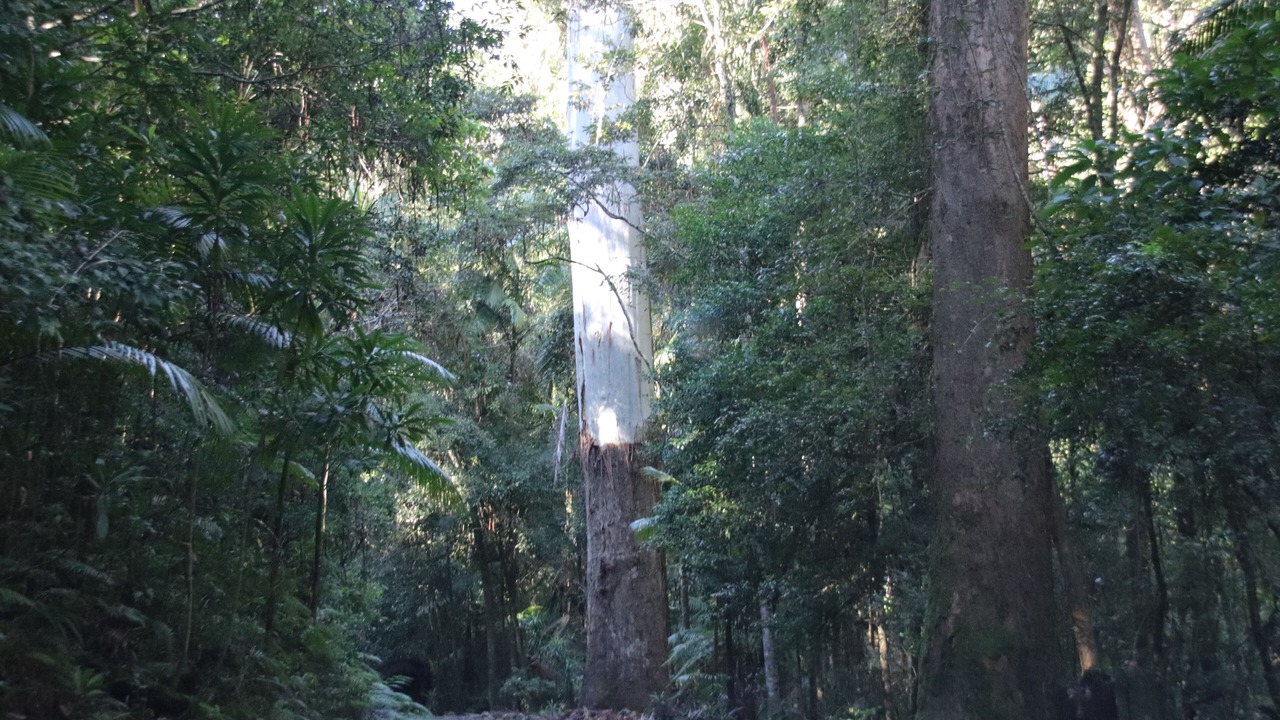 Photo of Outdoor in Kempsey