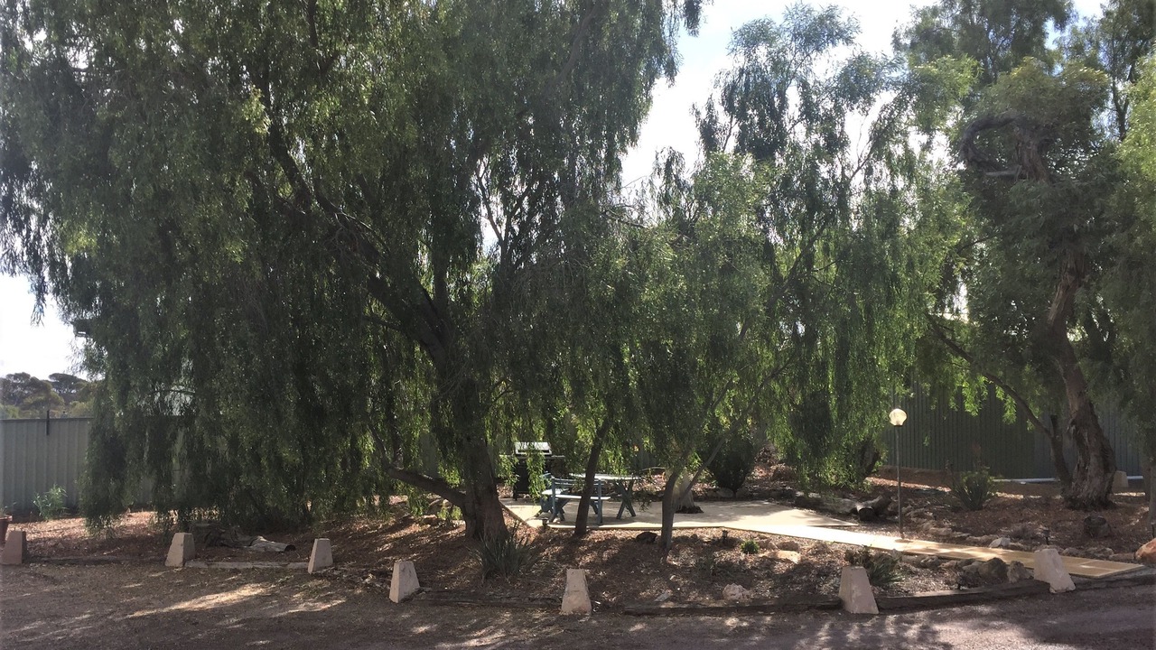 Photo of Bedroom in Bonython