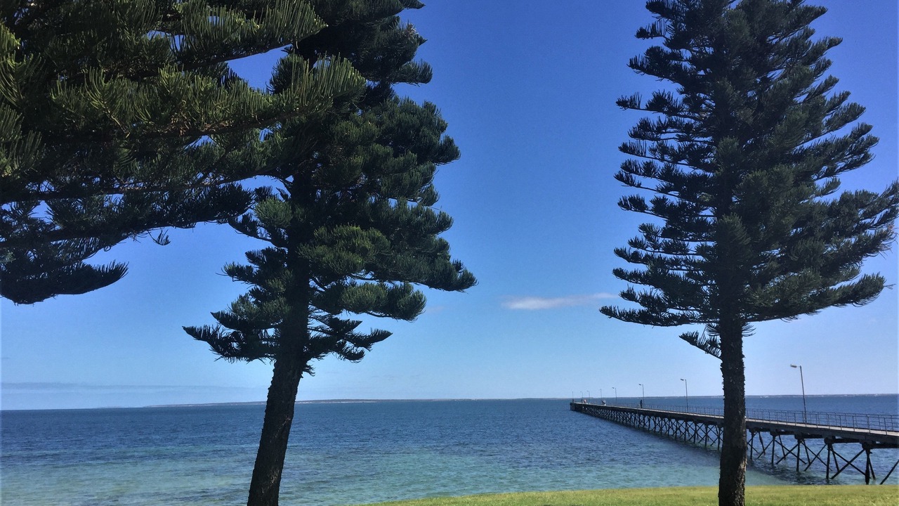 Photo of Outdoor in Bonython