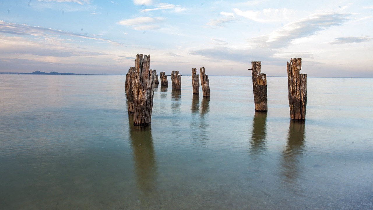 Photo of Others in Point Lonsdale