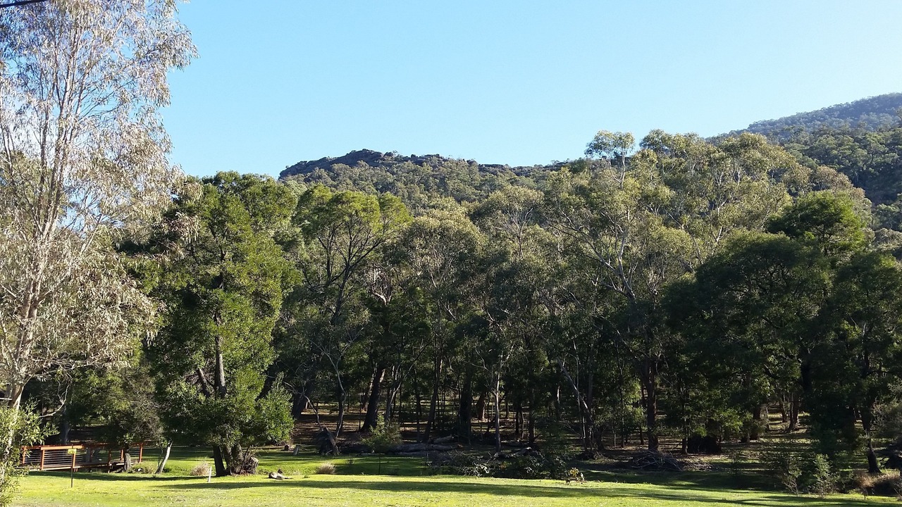 Photo of Others in Halls Gap
