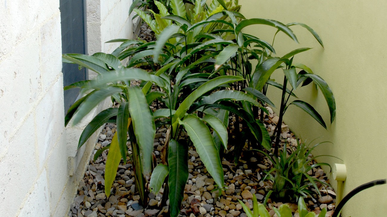 Photo of Outdoor in Sanctuary Point