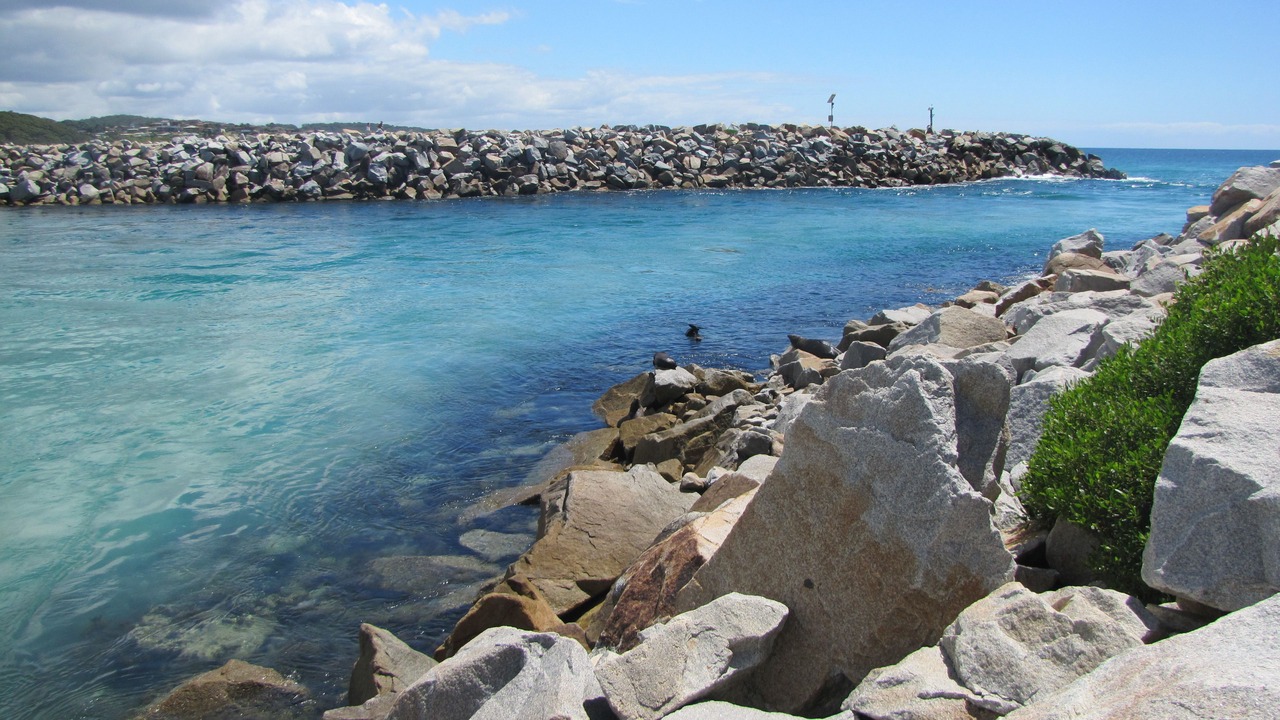 Photo of Outdoor in Narooma