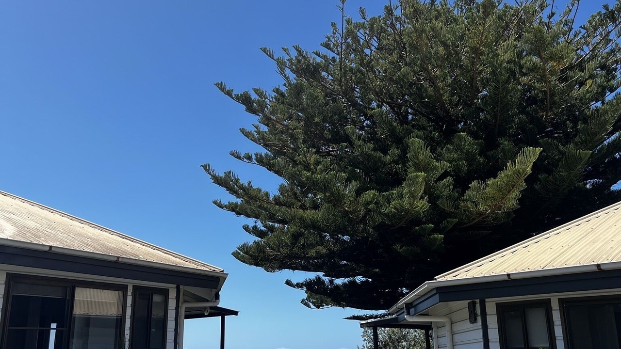 Photo of Outdoor in Bateau Bay