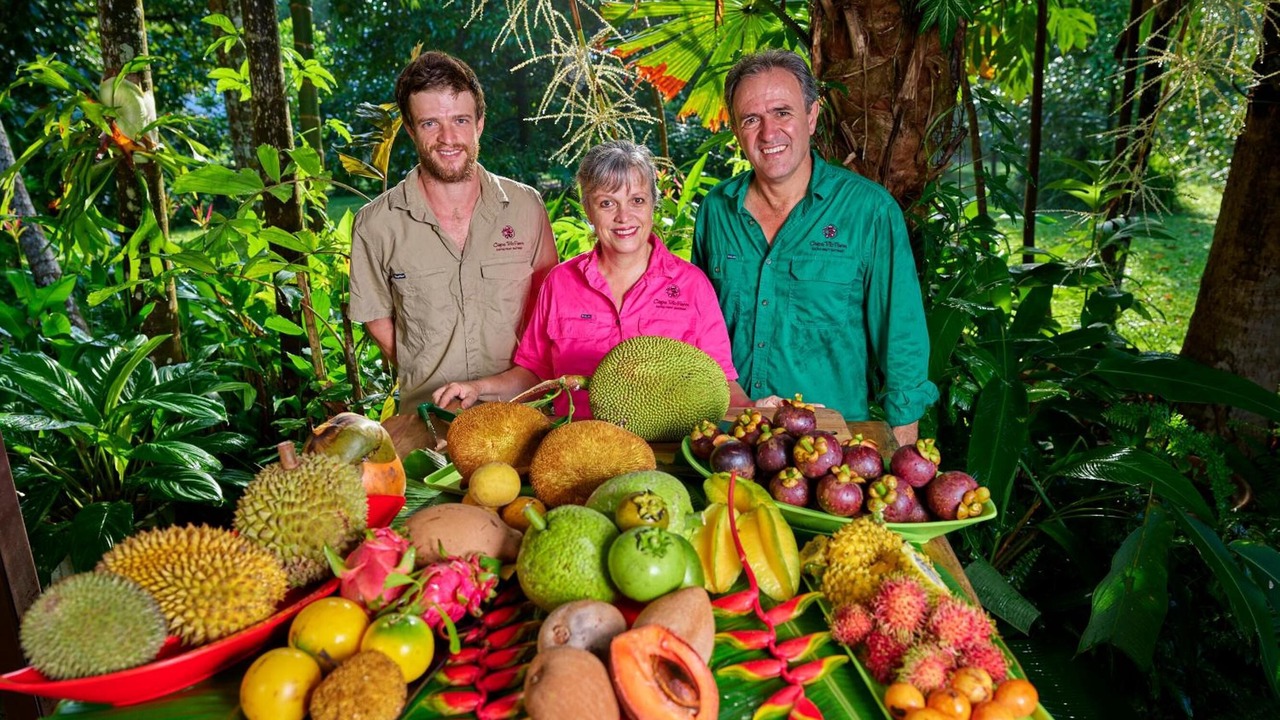 Photo of Others in Cape Tribulation