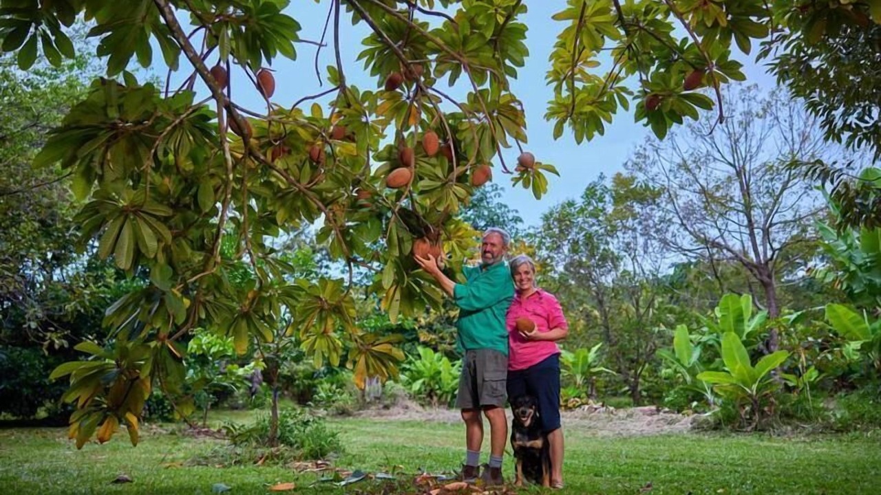 Photo of Outdoor in Cape Tribulation