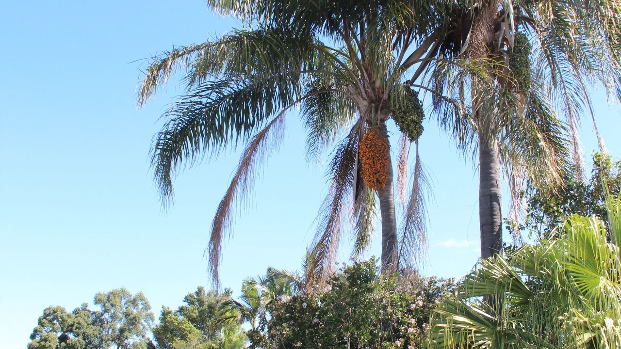 Photo of Outdoor in Childers
