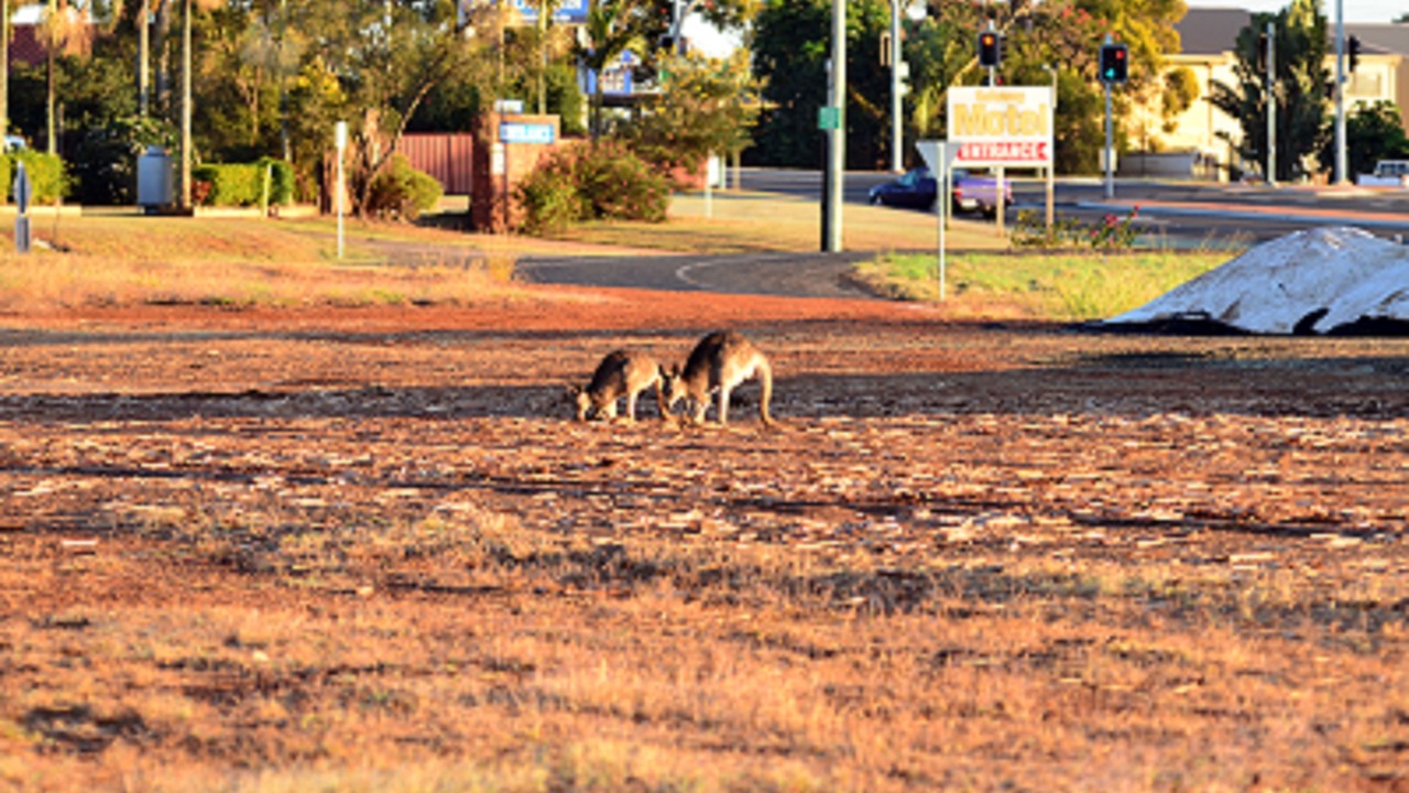 Photo of Outdoor in Childers