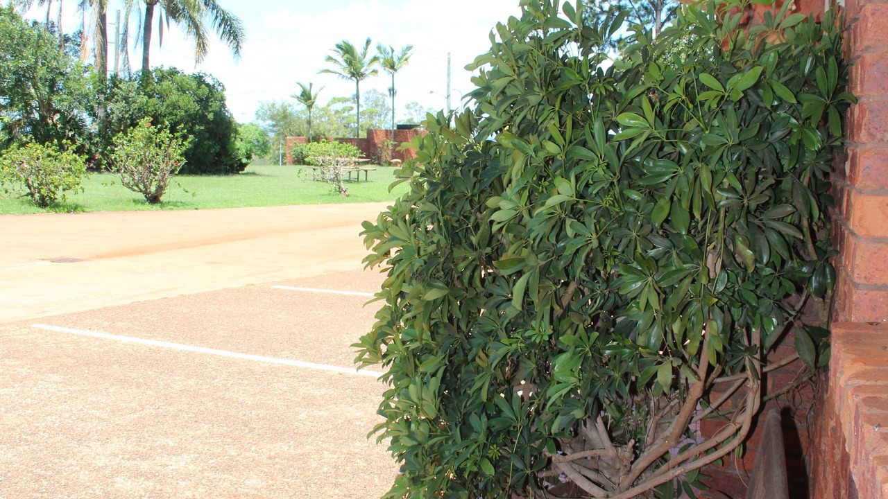 Photo of Outdoor in Childers