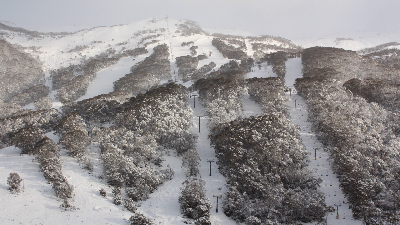 Photo of Others in Thredbo