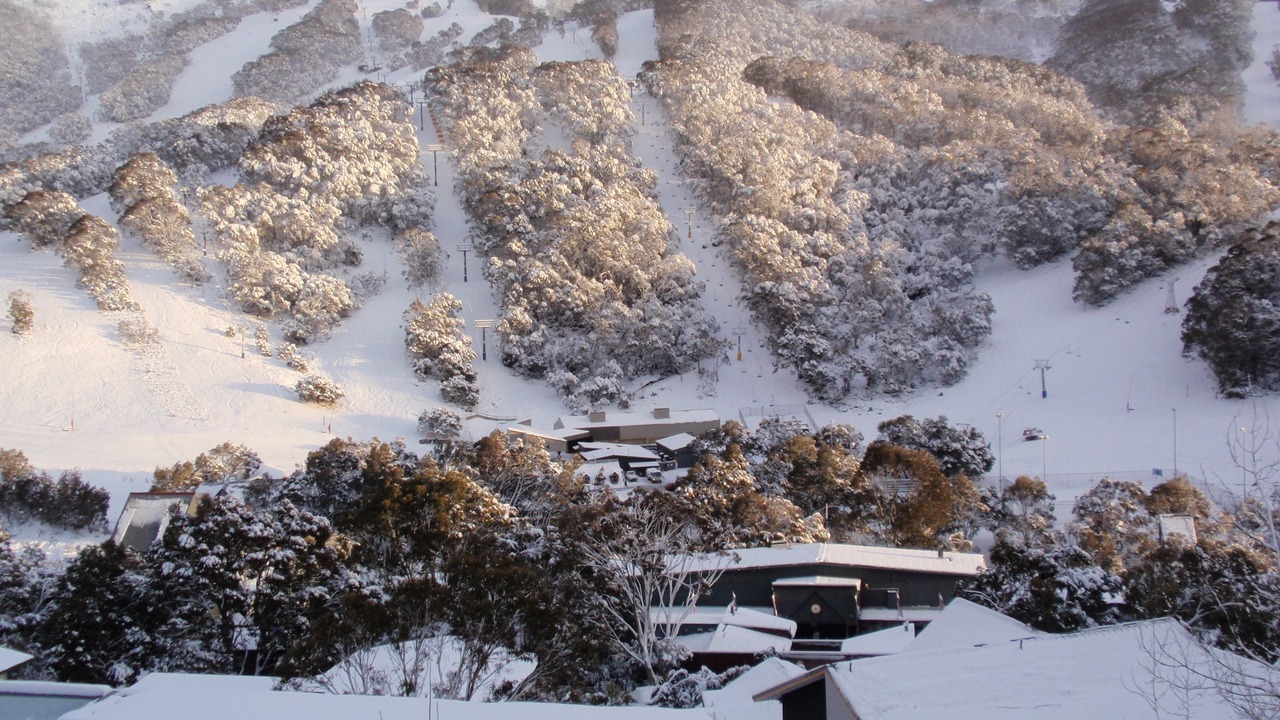 Photo of Others in Thredbo