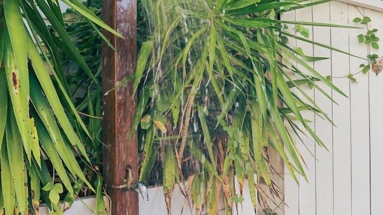 Photo of Outdoor in Bilambil Heights