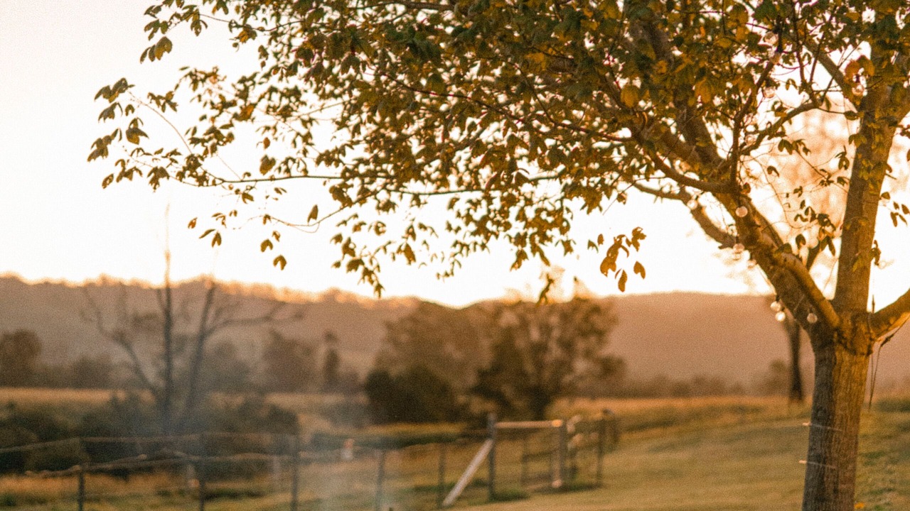 Photo of Outdoor in Rock Valley