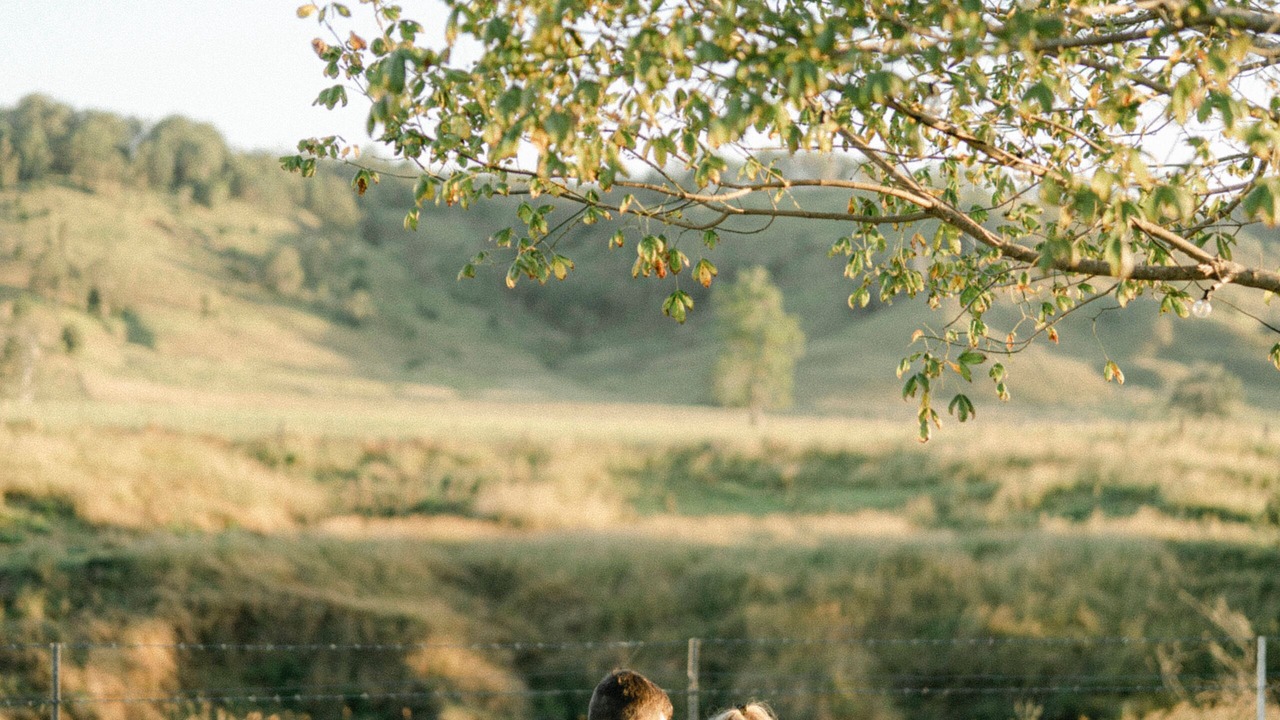Photo of Outdoor in Rock Valley