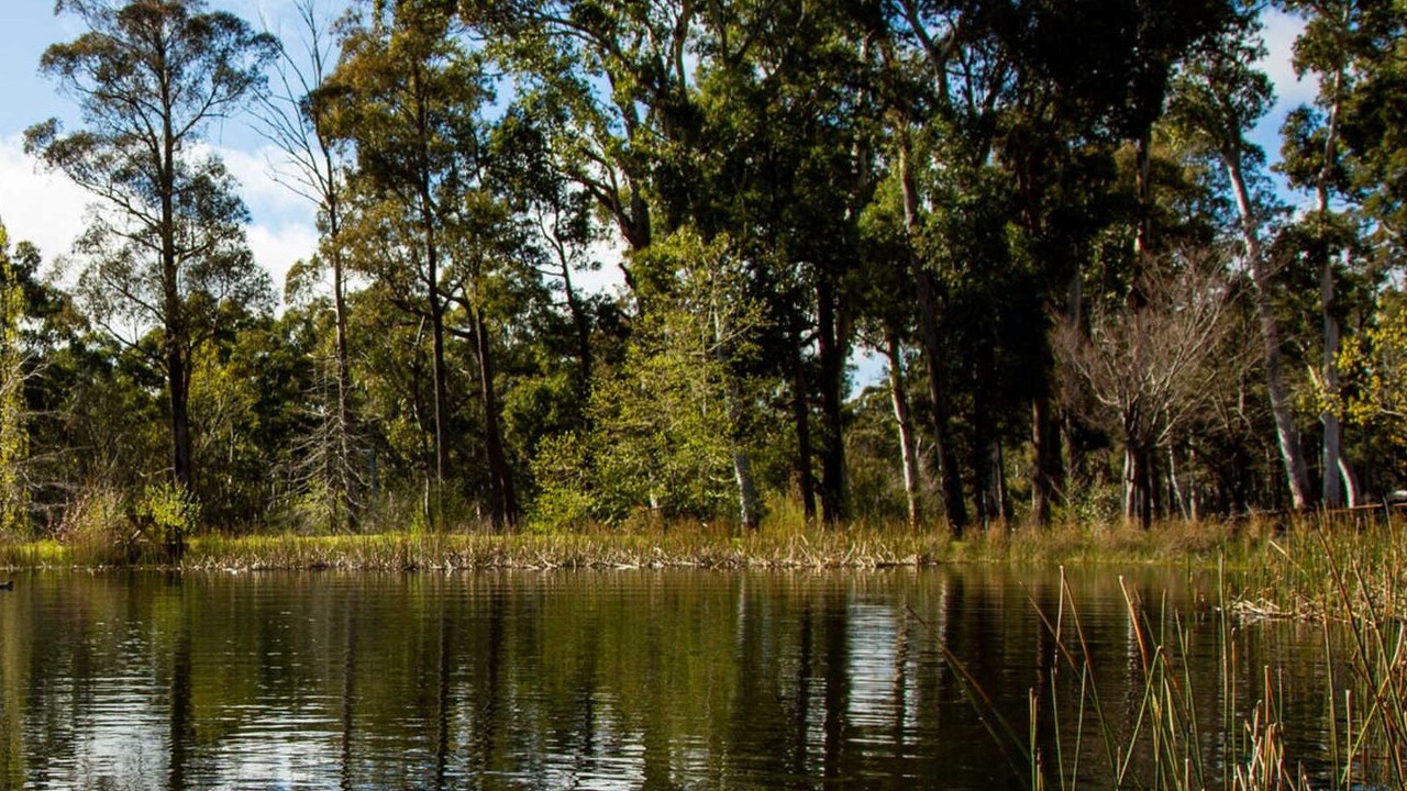 Photo of Outdoor in Yaouk