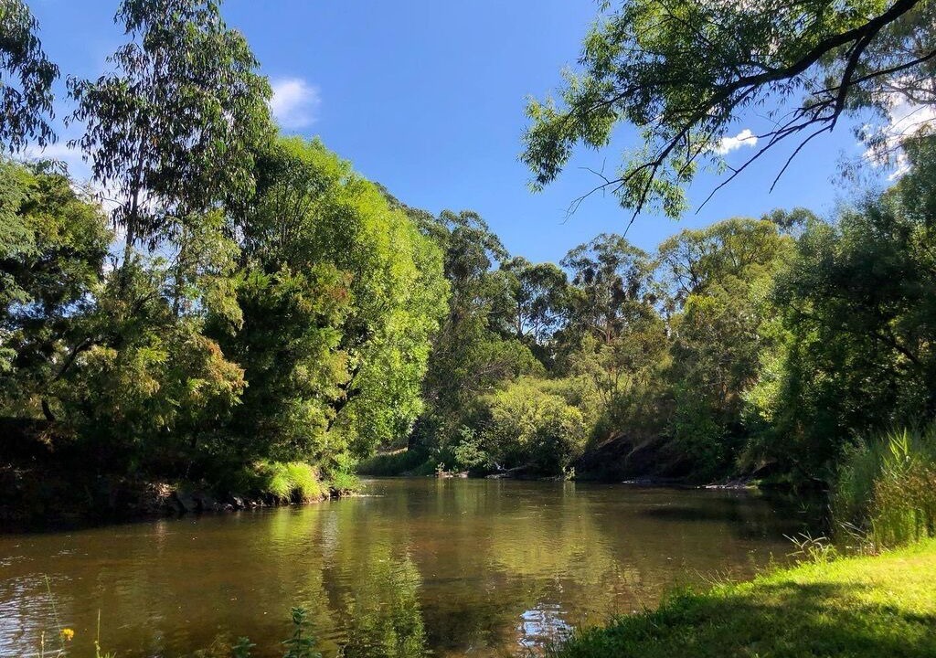 Photo of Outdoor in Howqua