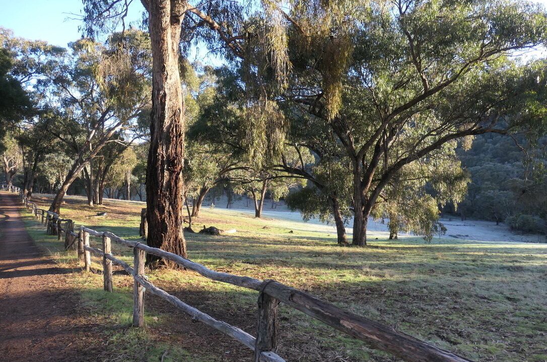 Photo of Outdoor in Howqua