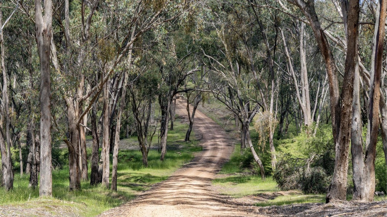 Photo of Outdoor in Howqua