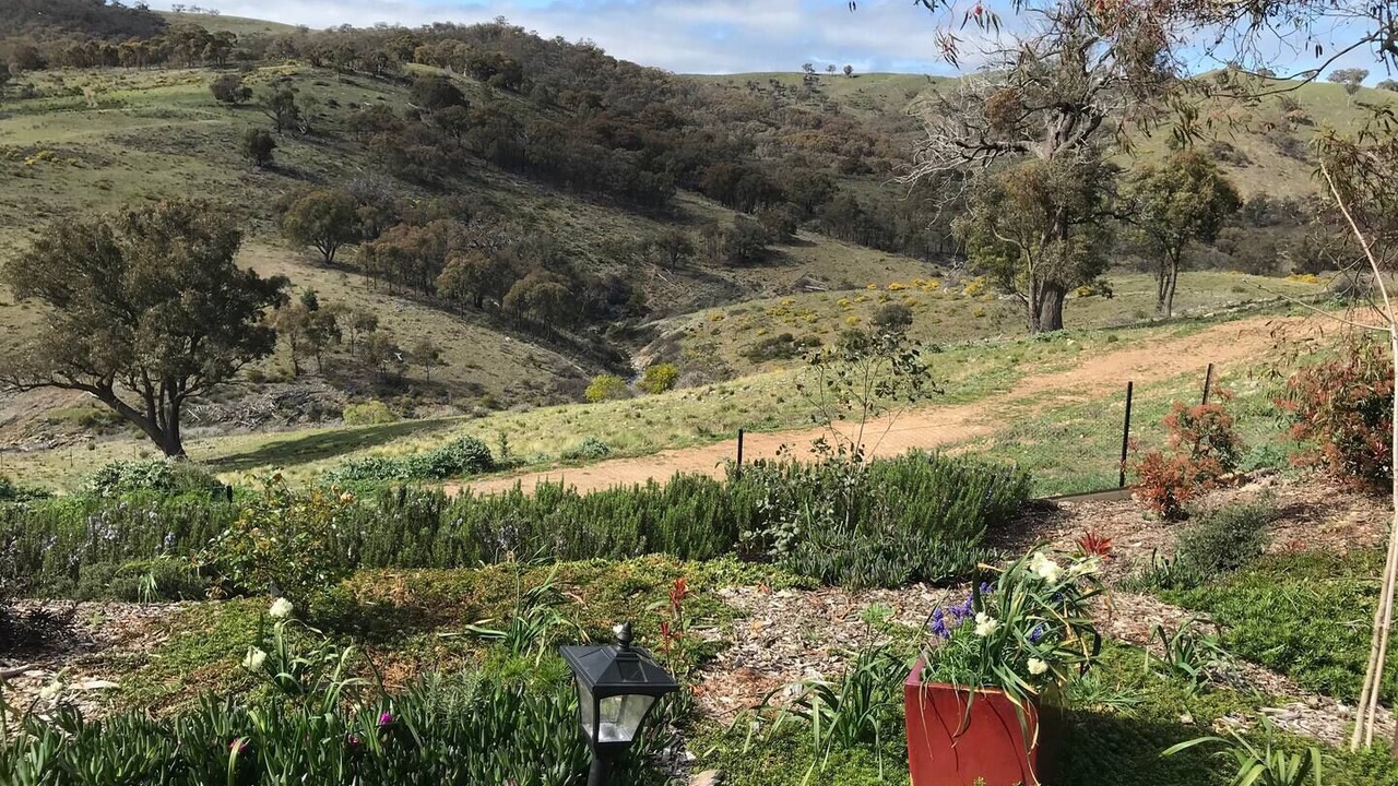 Photo of Outdoor in Clear Creek