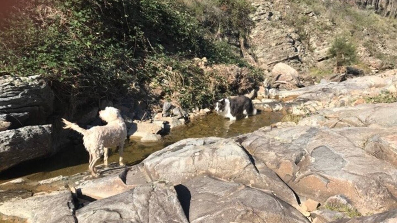 Photo of Outdoor in Clear Creek