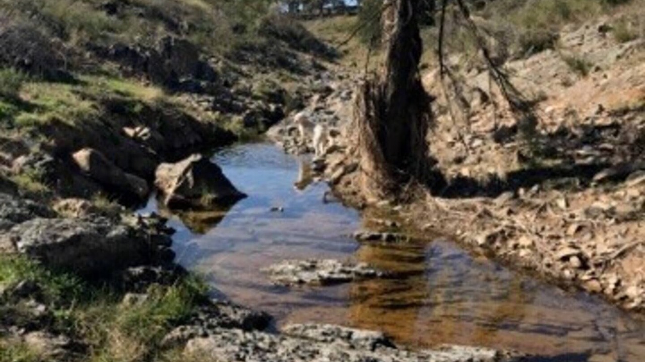 Photo of Others in Clear Creek