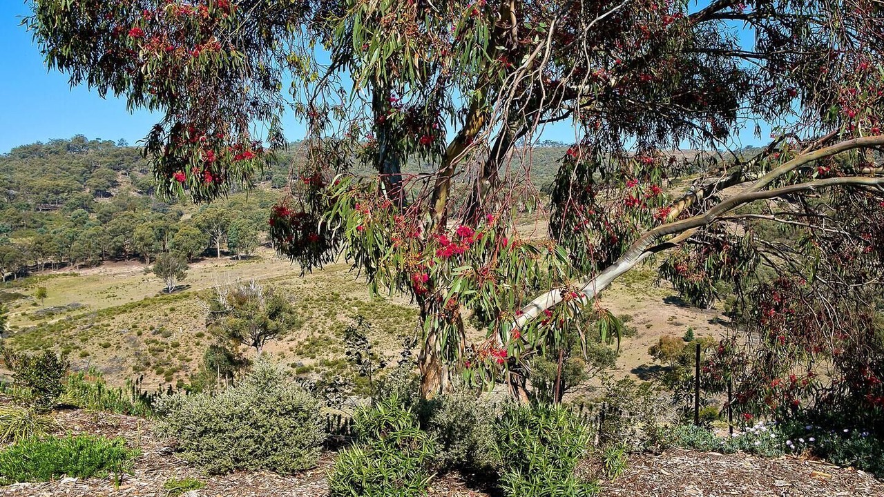 Photo of Outdoor in Clear Creek