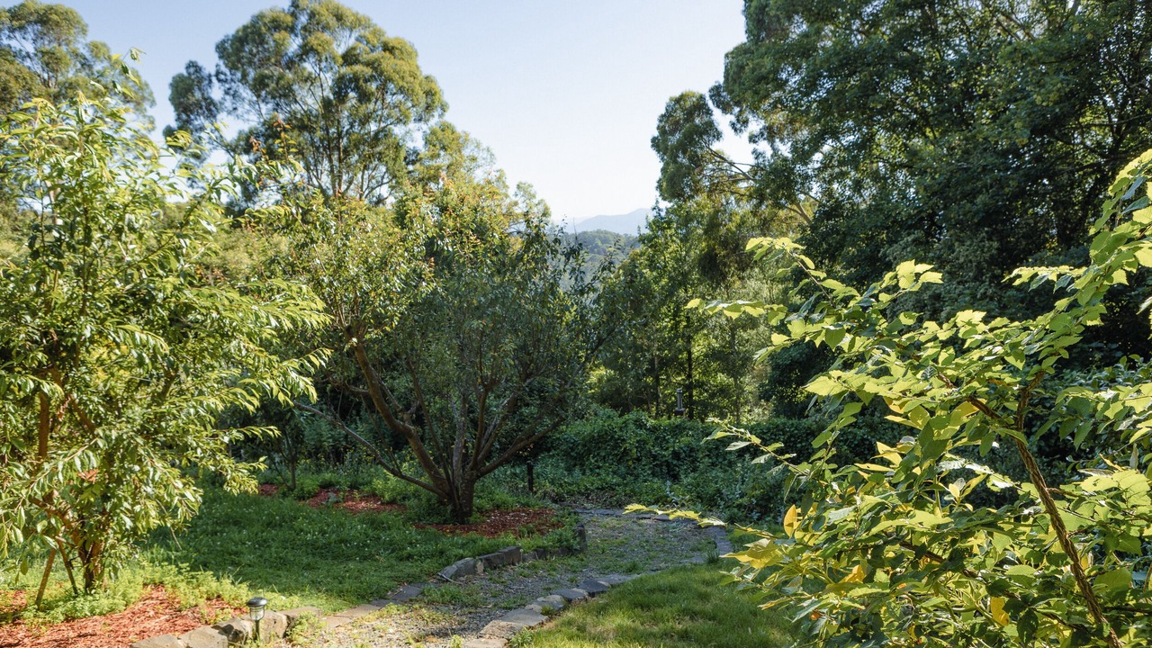 Photo of Outdoor in Kalorama