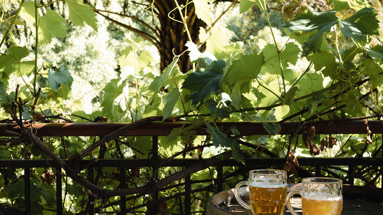Photo of Outdoor in Kalorama
