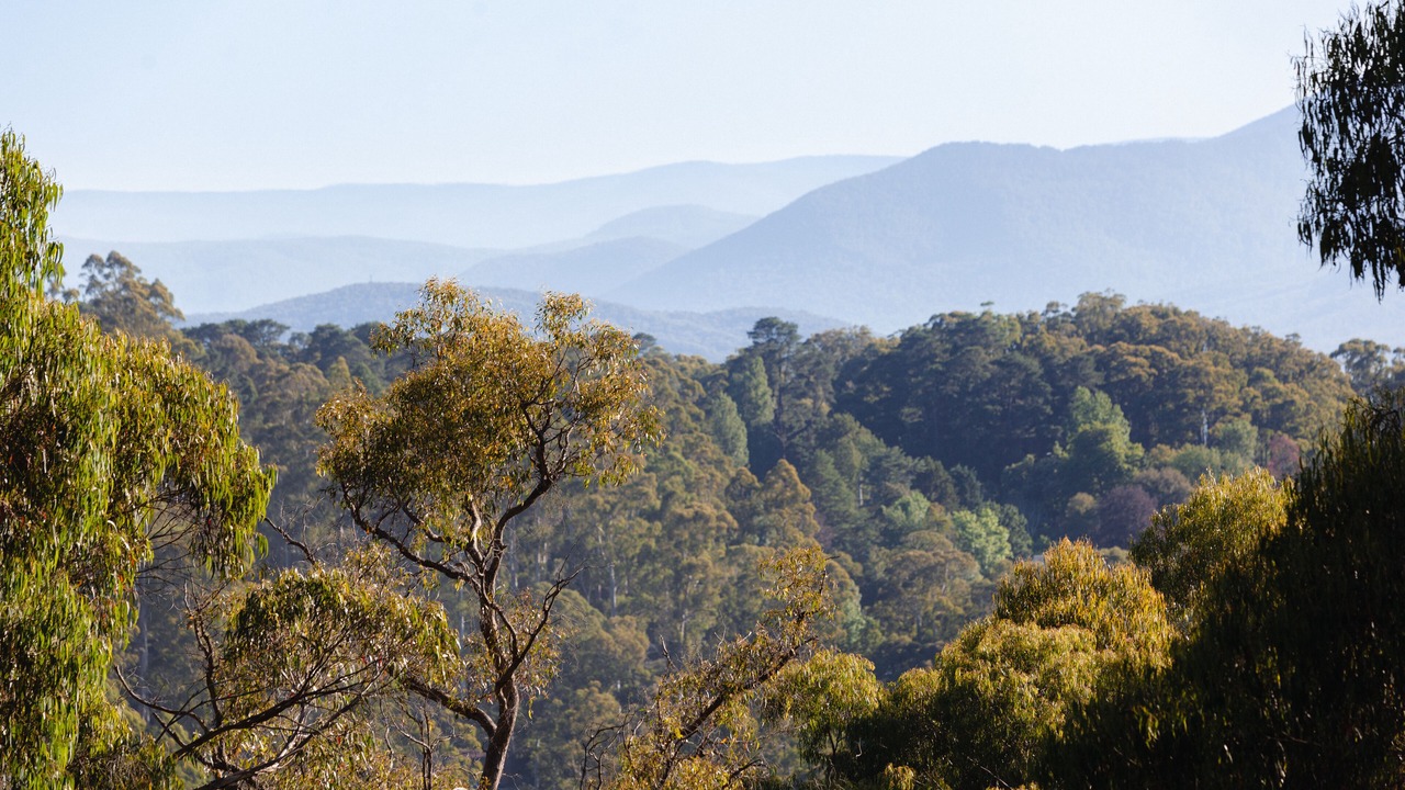 Photo of Outdoor in Kalorama