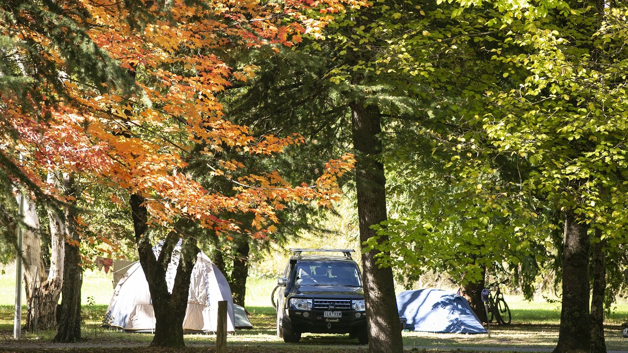 Photo of Outdoor in Tawonga