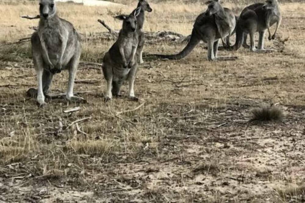 Photo of Outdoor in Melbourne