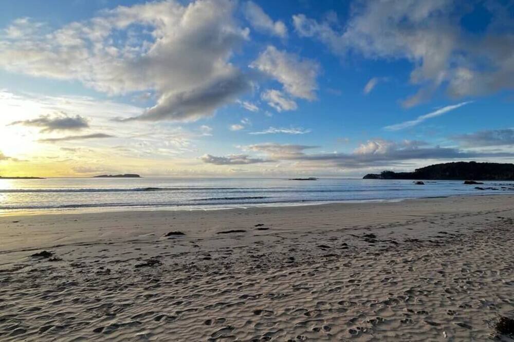 Photo of Others in Denhams Beach