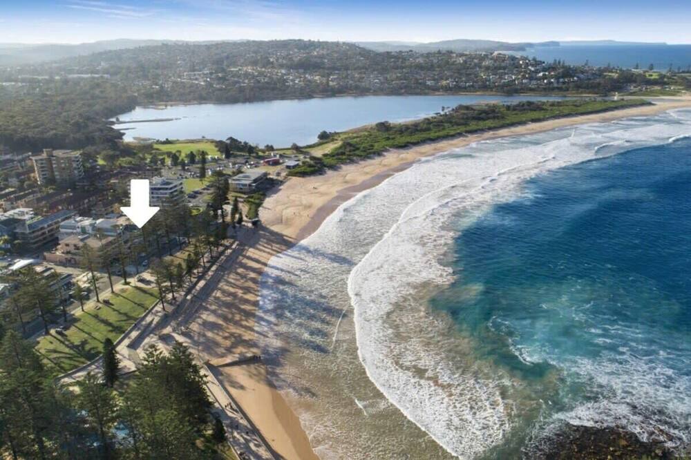 Photo of Others in Dee Why