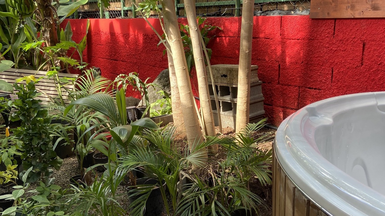 Photo of Outdoor in Faaa