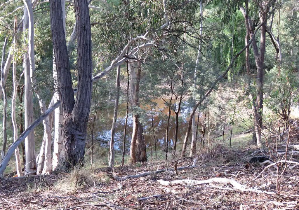 Photo of Outdoor in Hargraves
