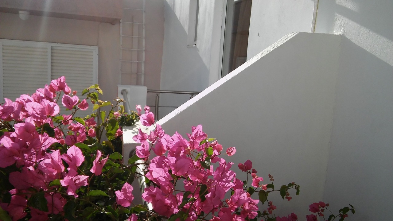 Photo of Outdoor in Haraki
